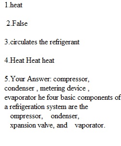 Chapter 12 Quiz